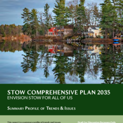 5. (2024) Existing Conditions Profile thumbnail icon